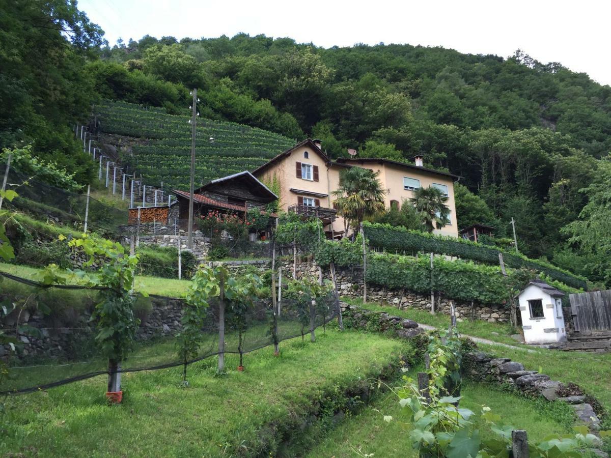 Casa Immersa Nel Vigneto Roveredo Exterior foto